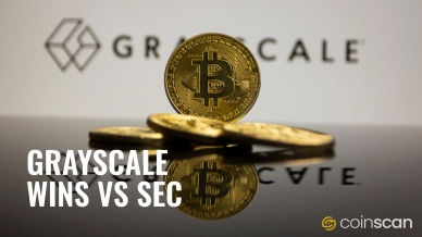 Grayscale VS SEC.jpg