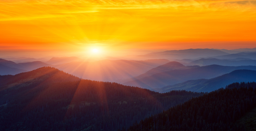 Welcome to the new Sisvel 