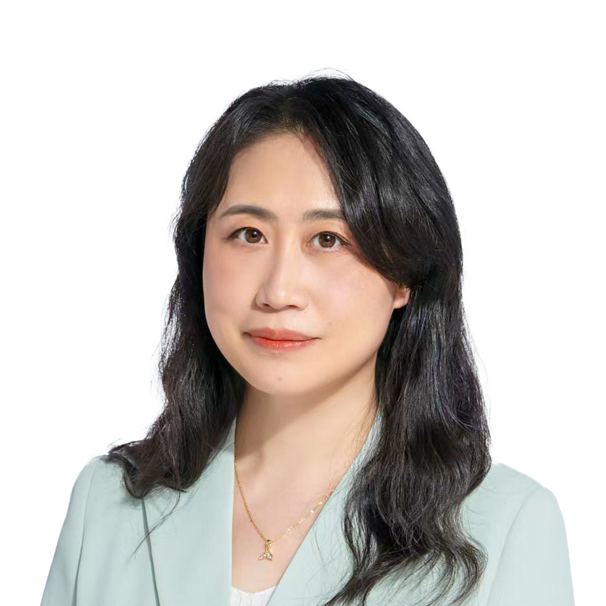 Na Wei, Head of IP Strategy, Xiaomi