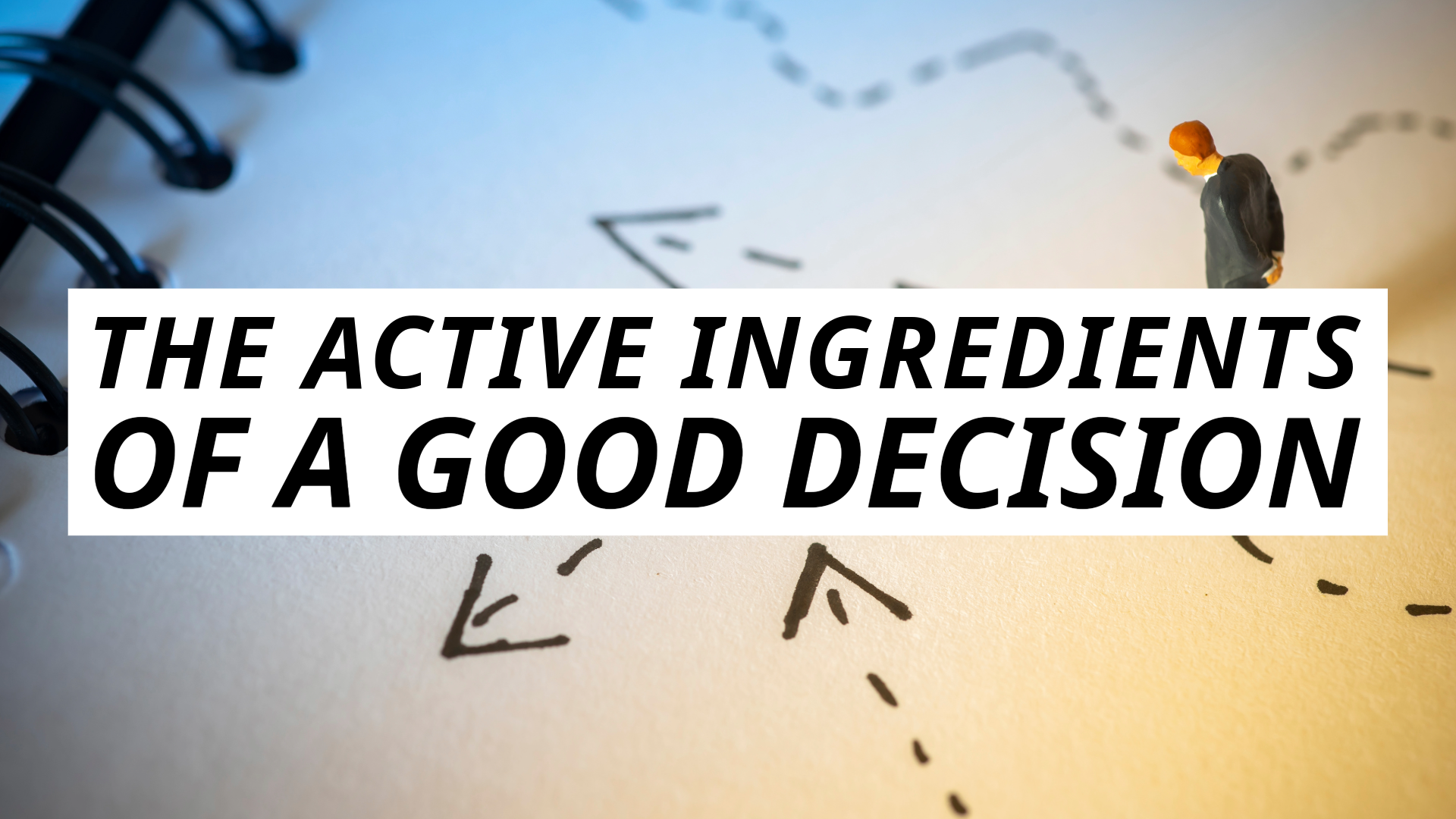 The Active Ingredients of a Good Decision