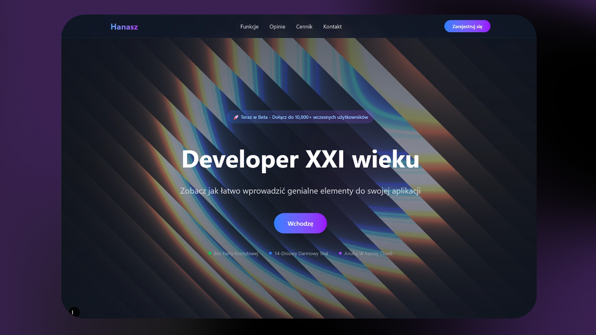 Developer XXI wieku