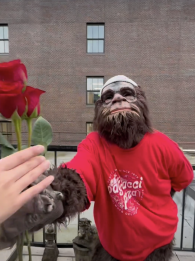 Sasquatch for Your Sweetheart
