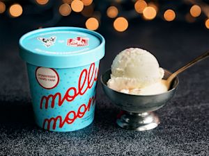 Seasonal special image