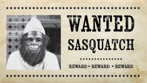 Sasquatch Sightings