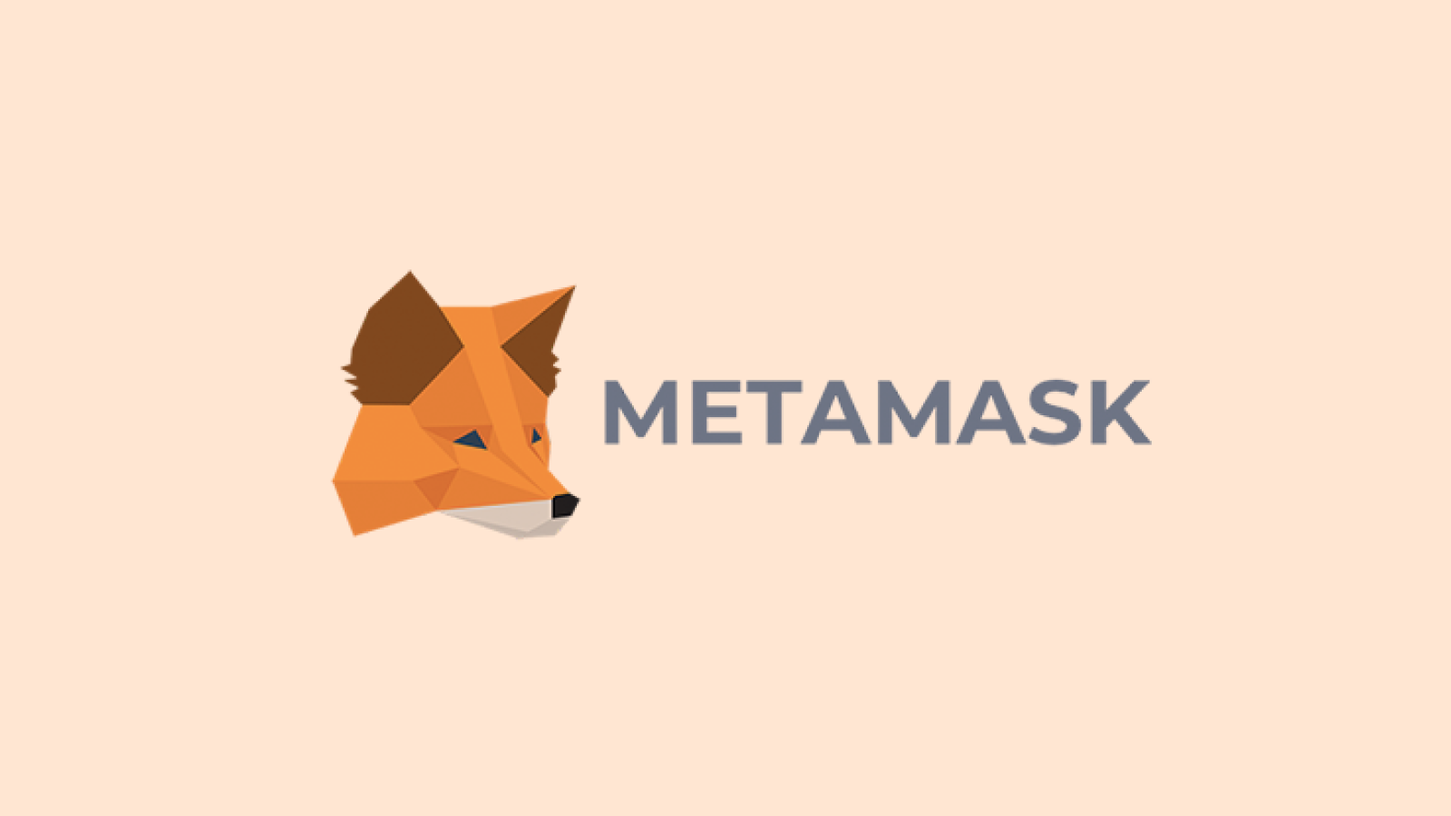 Ecosystem Wallet MetaMask