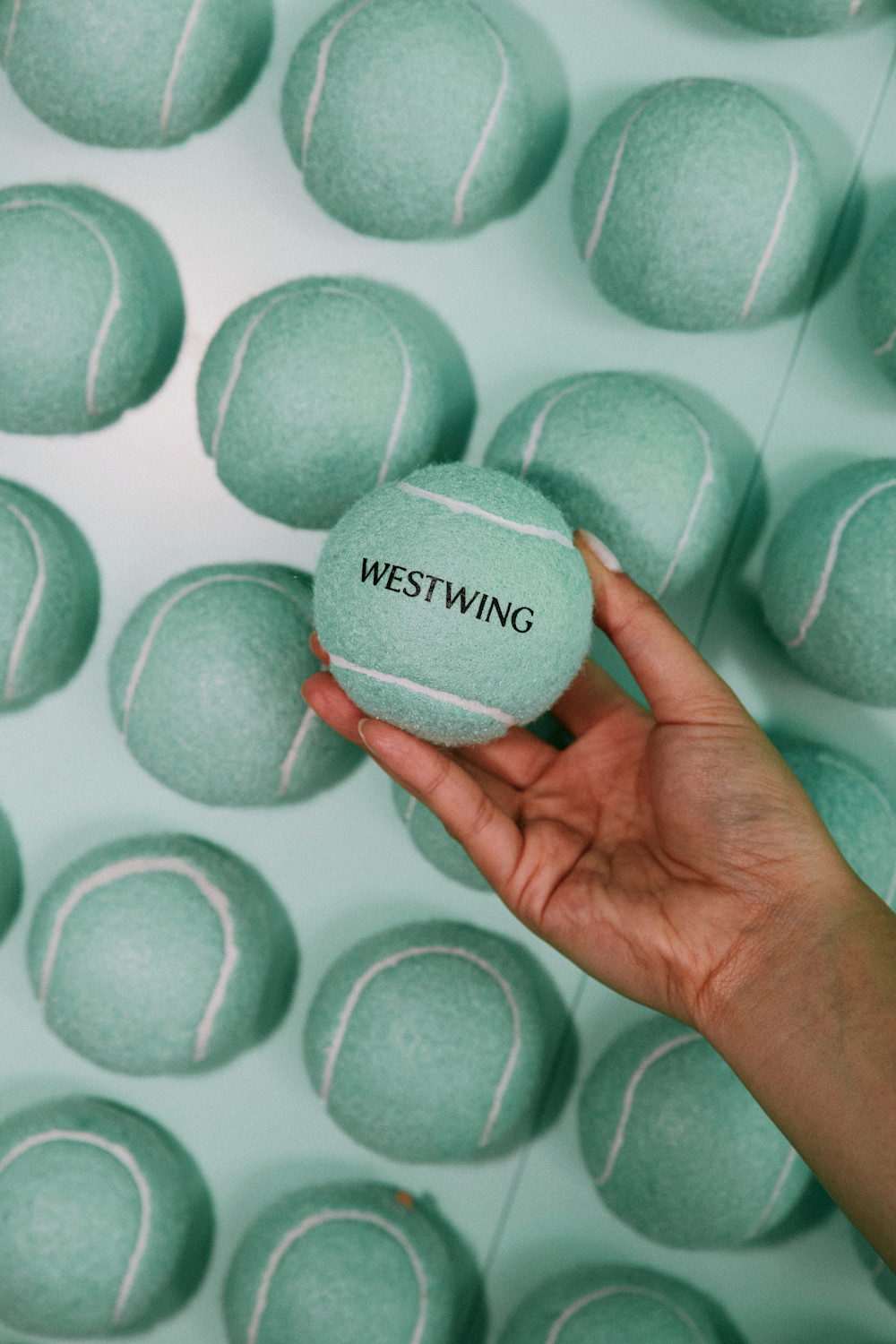 Westwing Halle Terra-Wortmann-Open-2