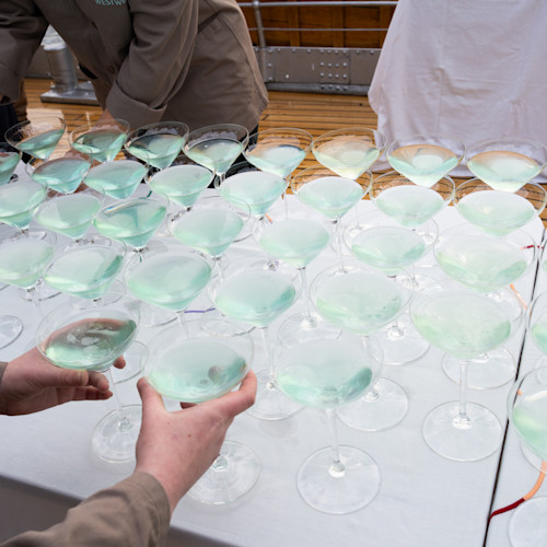 Westwing Nordics Launch Event 29
