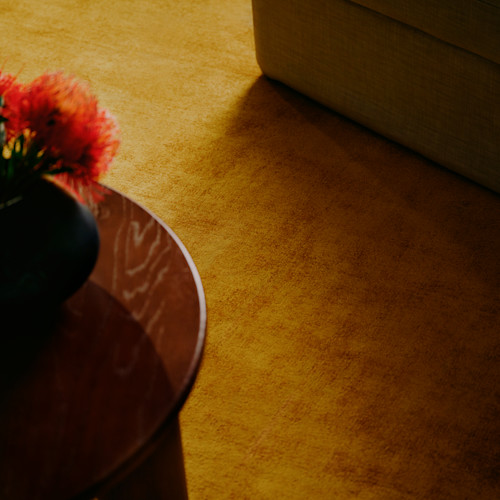 WESTWING RUGS CAMPAIGN 19