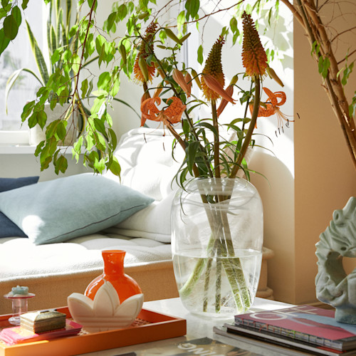 Alyssa & Gia x Westwing