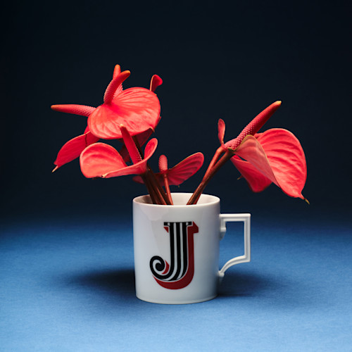 Westwing x Meissen 2.0 2