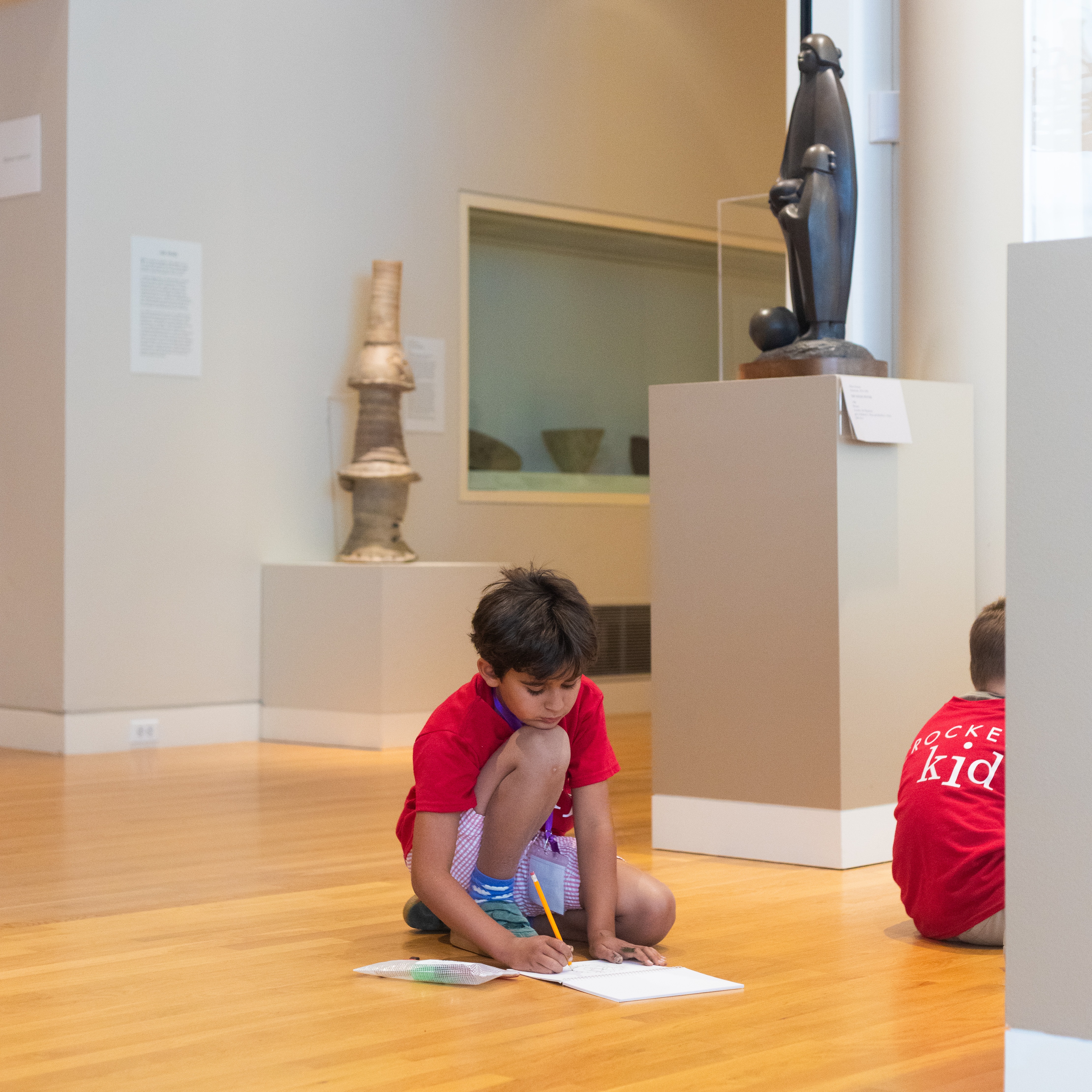 Crocker Art Camp: Forces of Nature