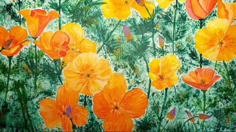 The Beauty of Blooms