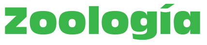 Zoología Theme Logo