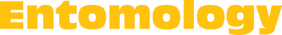 Entomology