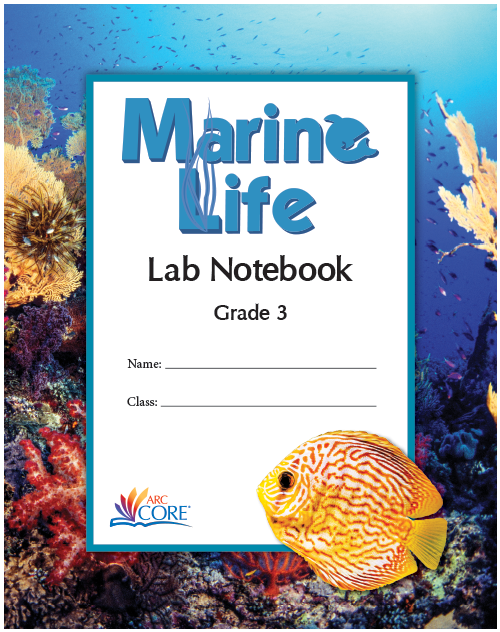 Lab Notebook