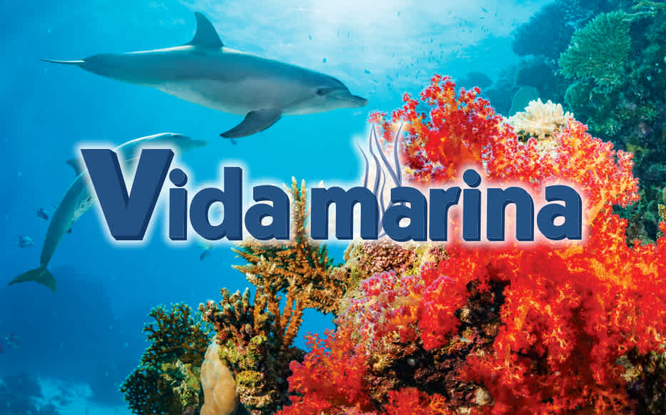 Vida marina cover