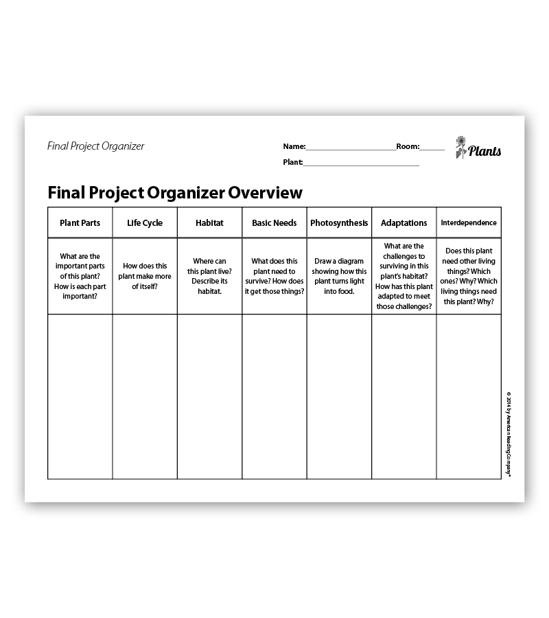 Final Project Organizers