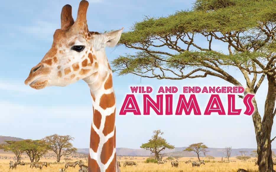 Wild & Endangered Animals cover