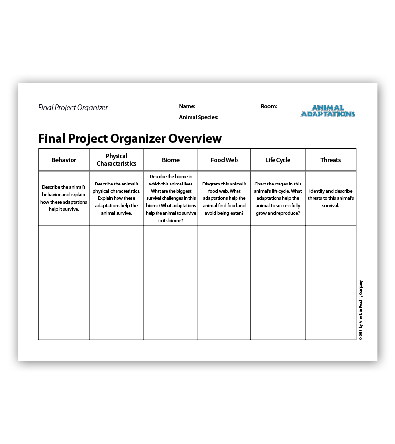 Final Project Organizers