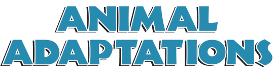 Animal Adaptations Theme Logo