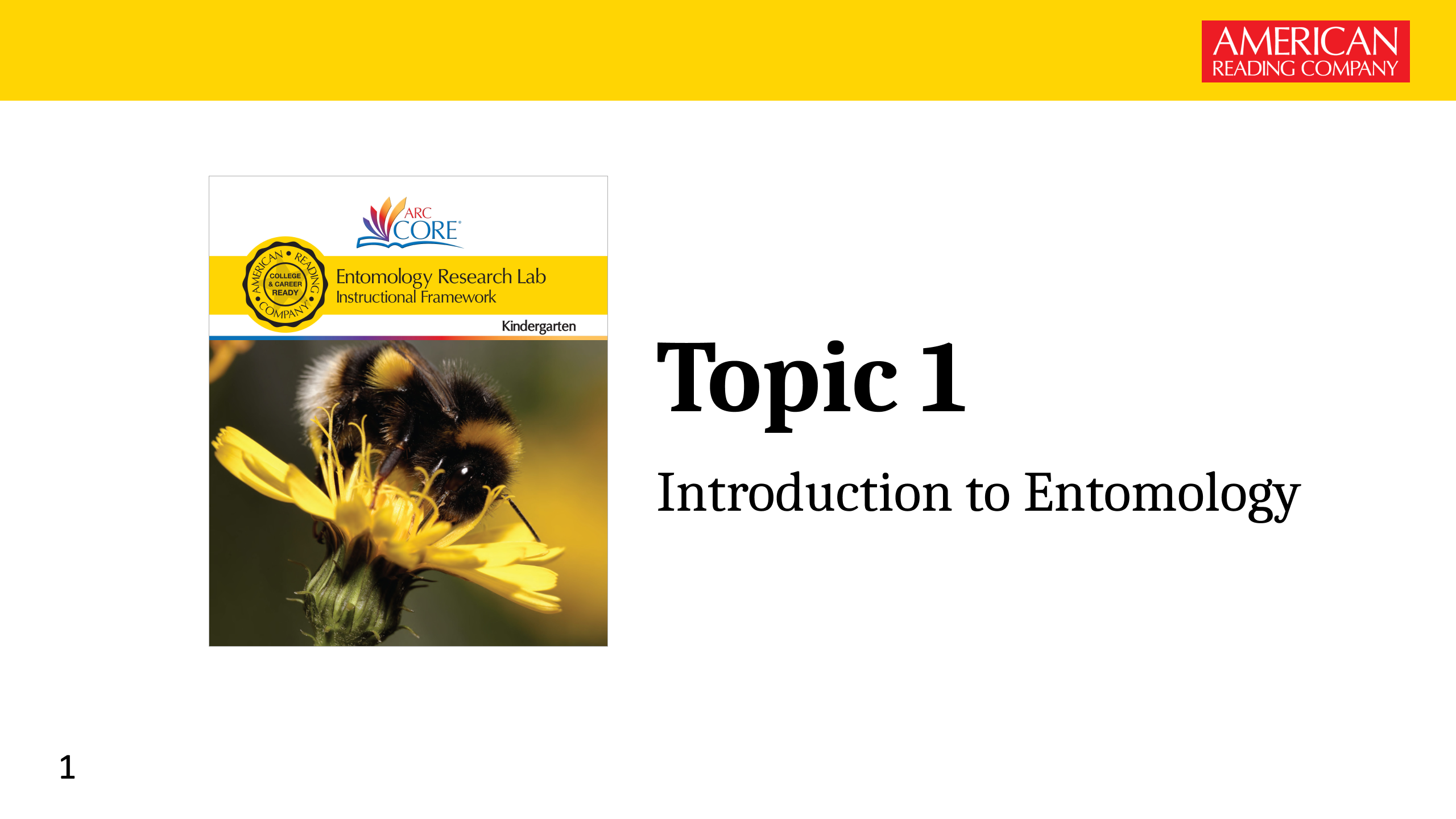 Editable PowerPoint Slide Deck