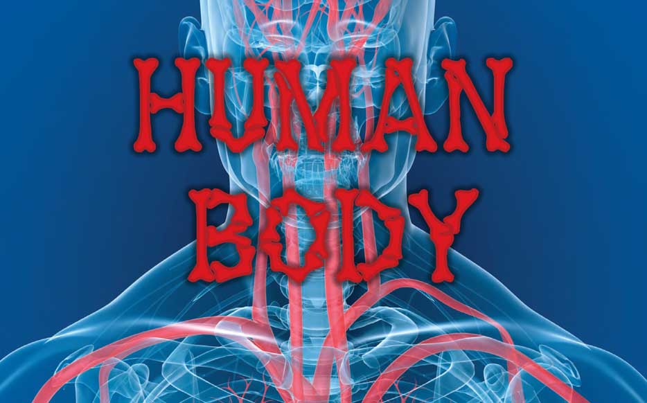 Human Body cover