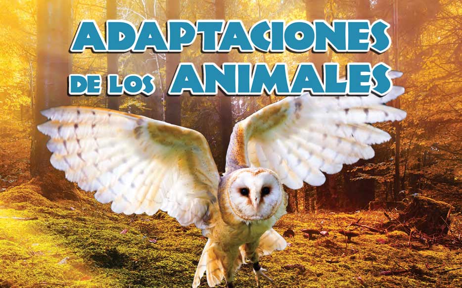 Adaptaciones de los animales cover