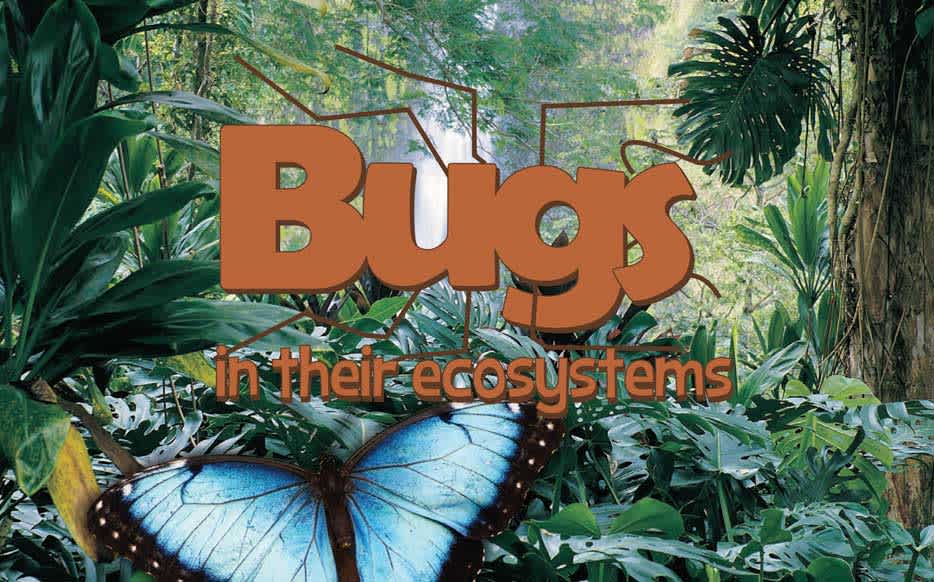 Bugs in Their Ecosystems cover