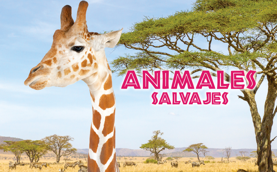 Animales salvajes cover