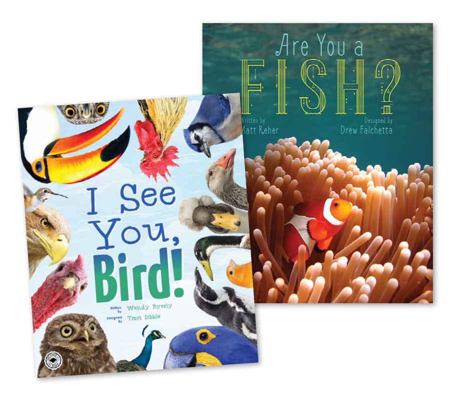 Big Books (4–7 titles)