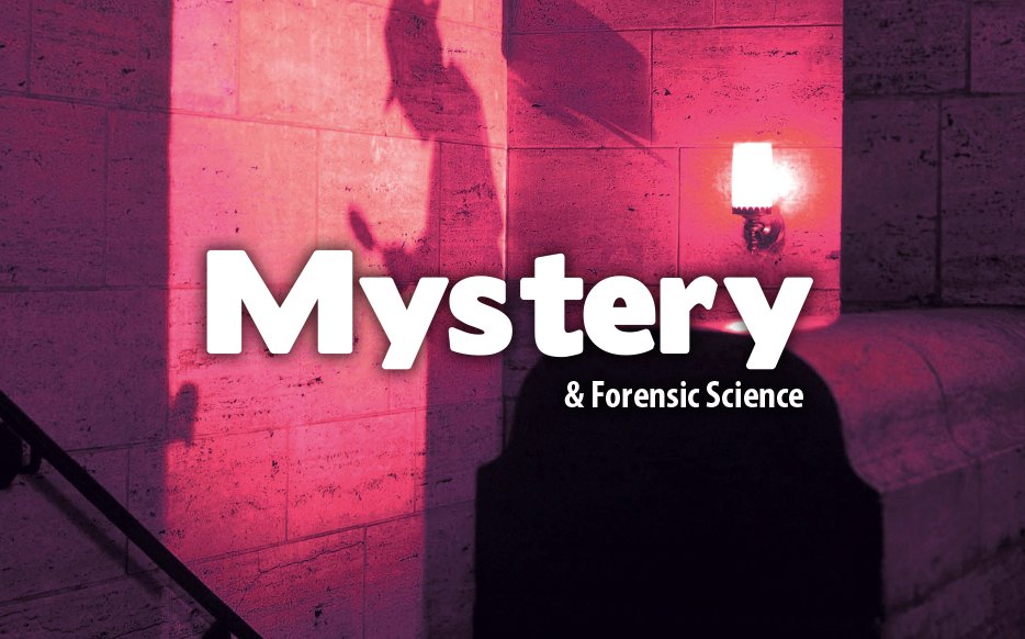 Mystery cover