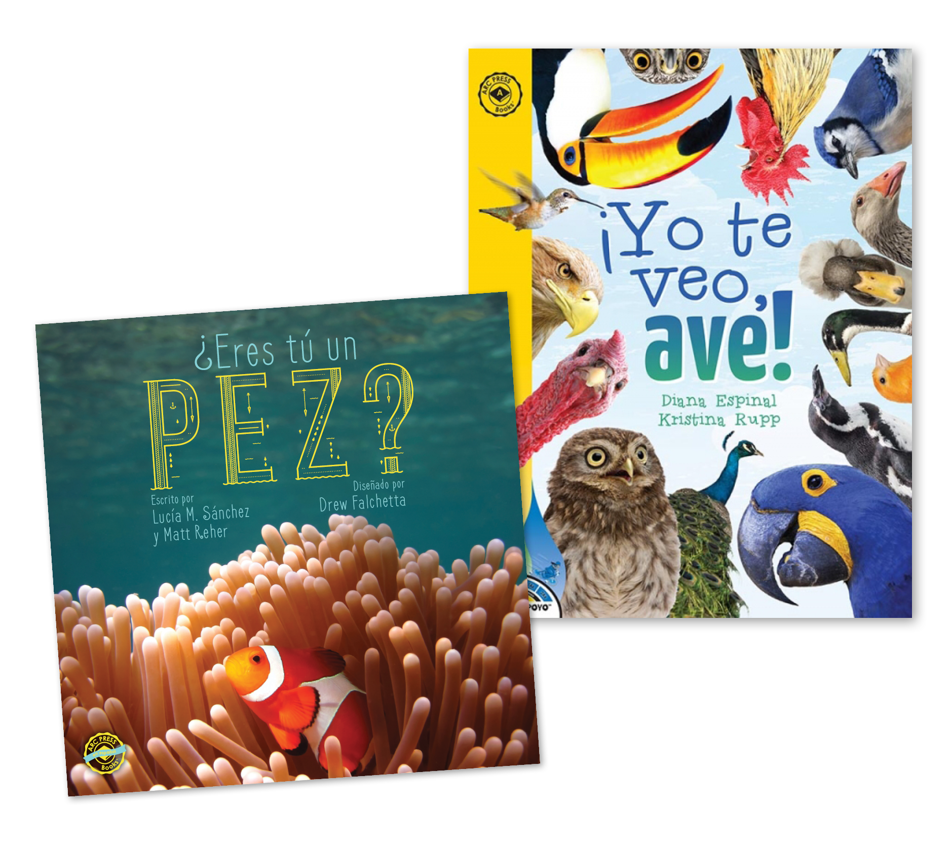 Big Books (4–7 titles)