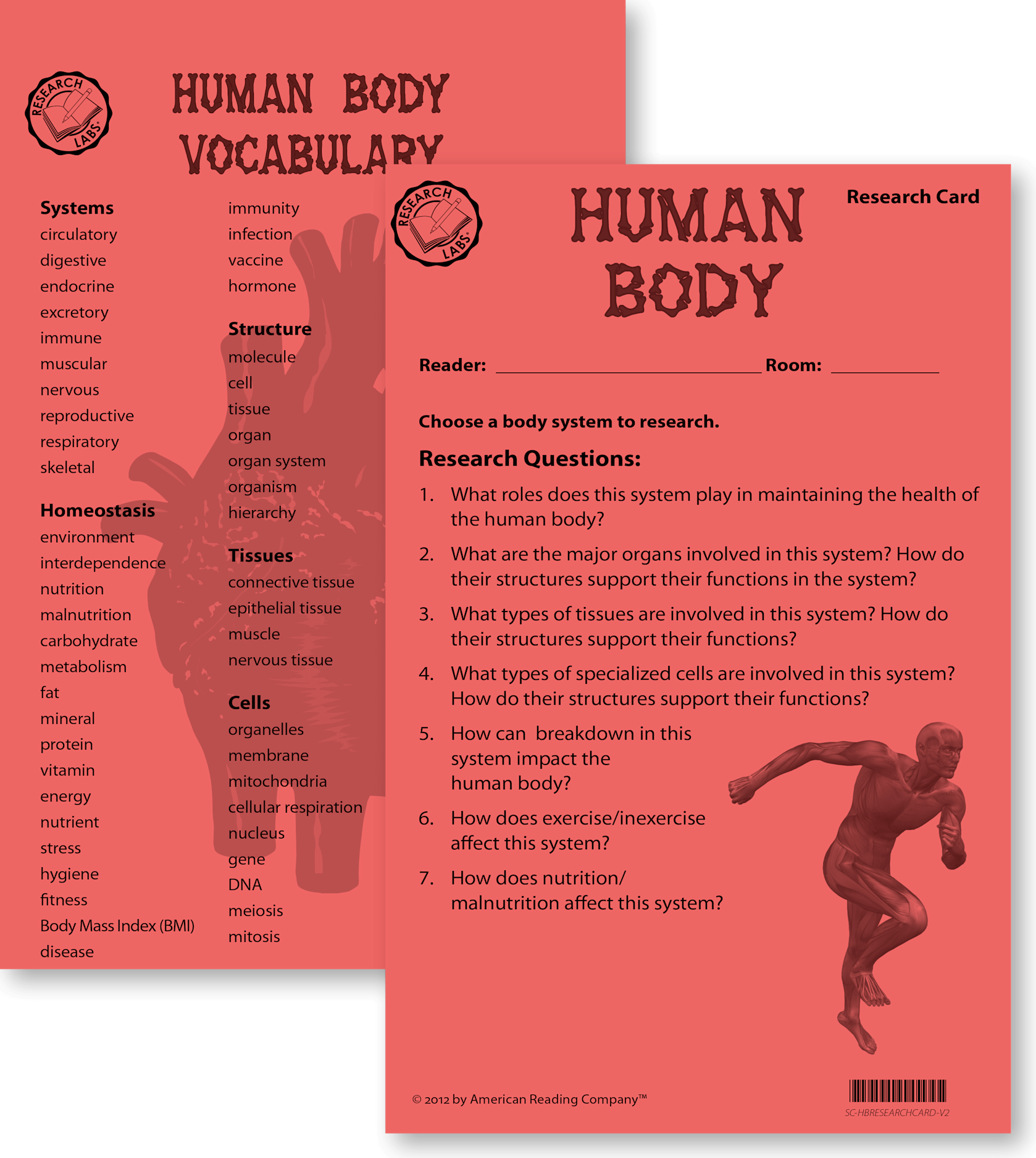 Body Research Project Writing Human Body | ARC Core Theme