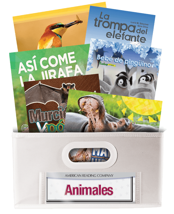 Informational Text Set