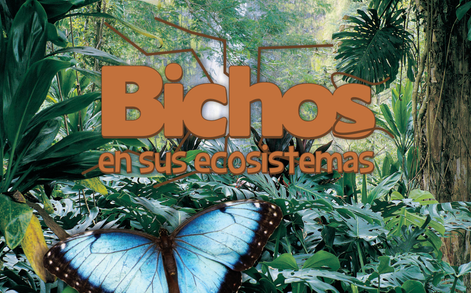 Bichos en sus ecosistemas cover