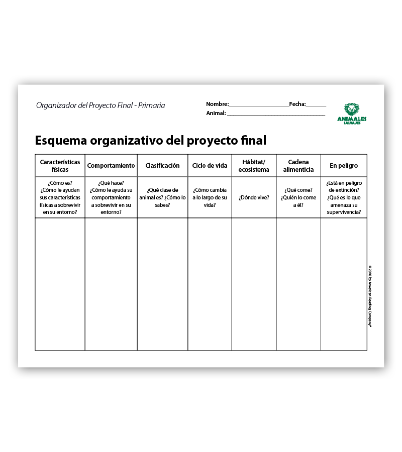 Final Project Organizers