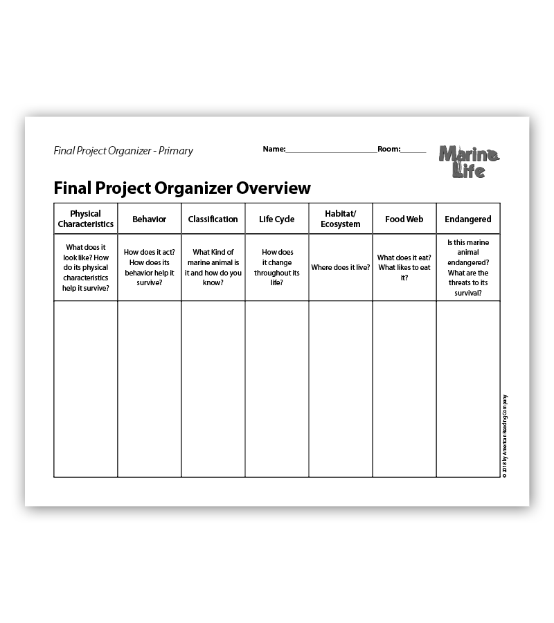 Final Project Organizers
