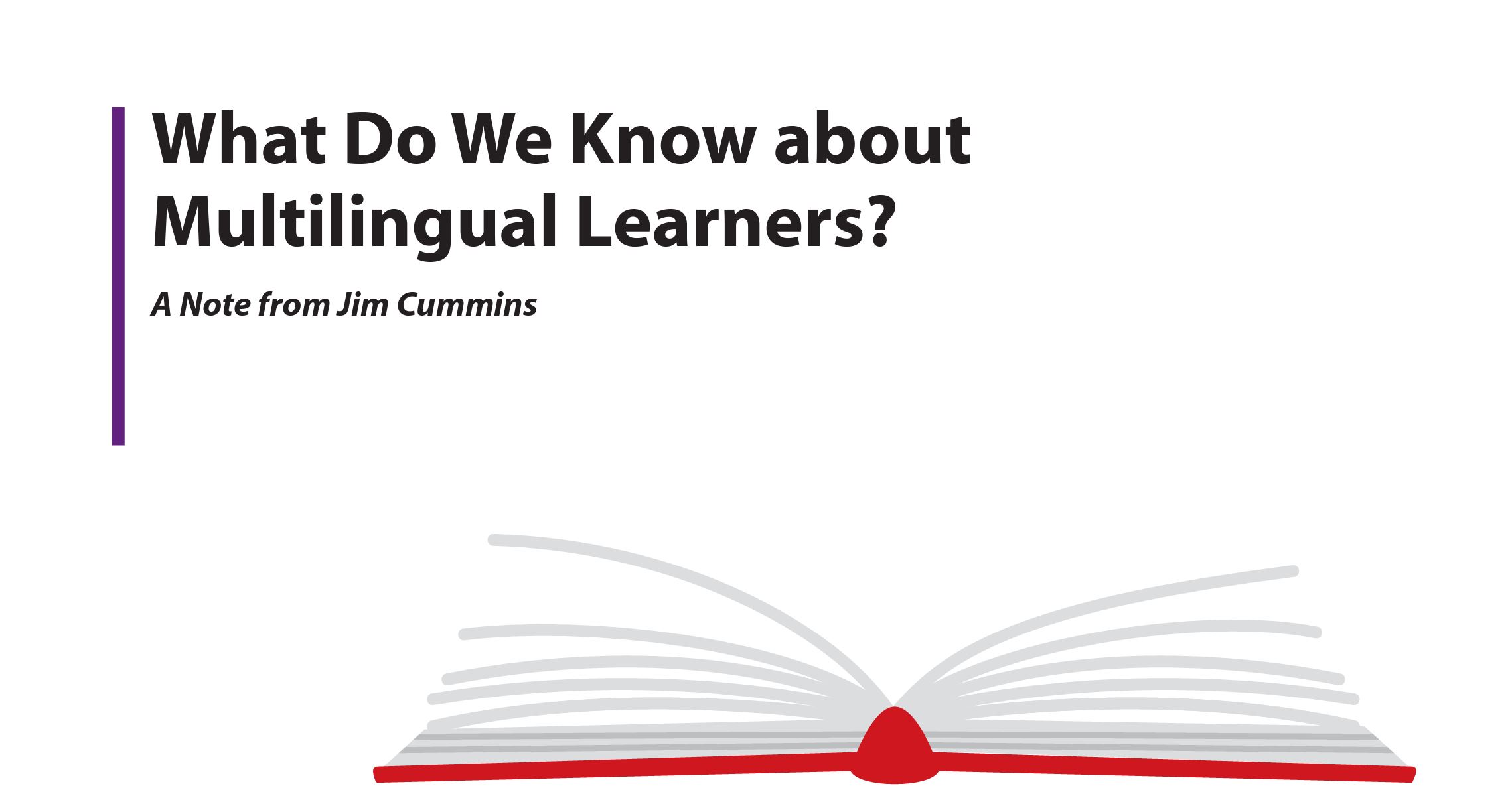 What Do We Know about Multilingual Learners?