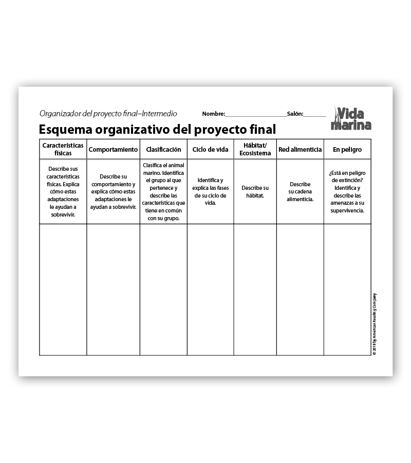 Final Project Organizers