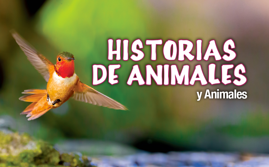Historias de animales cover