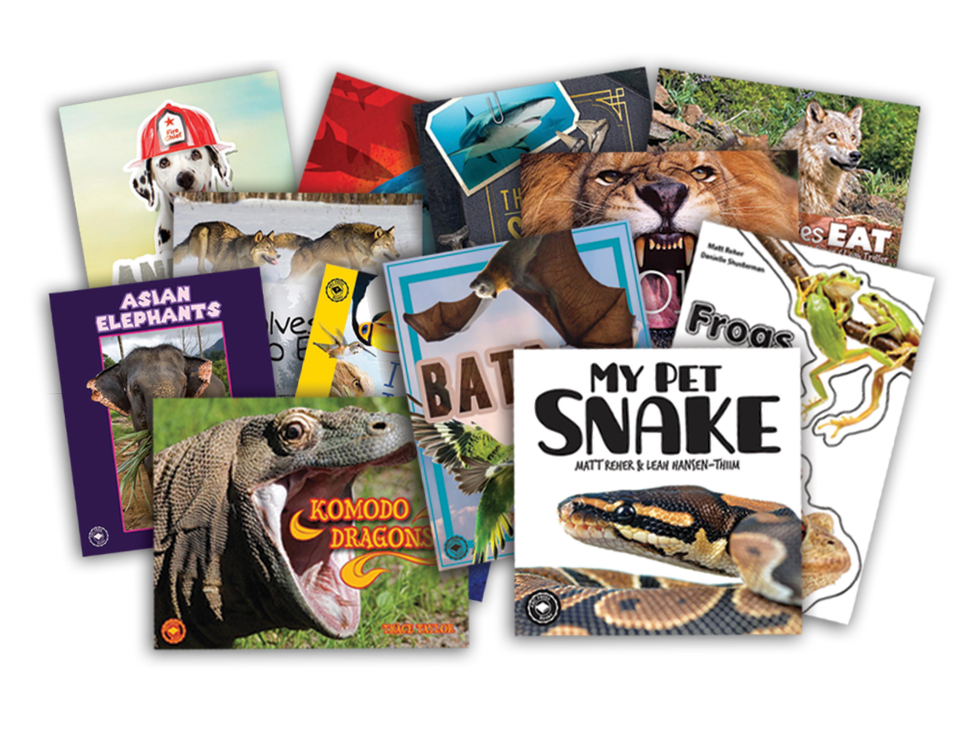 Knowledge-Building Library