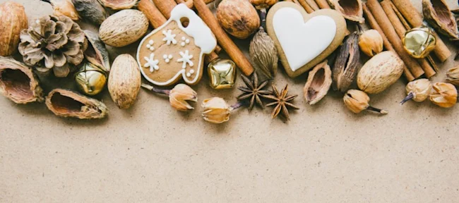 mira-bozhko-178272-e1513012605331