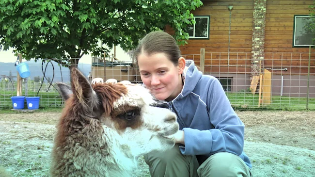 10-years-of-problemwriting-an-interview-with-nickolas-mariia-mykhailova