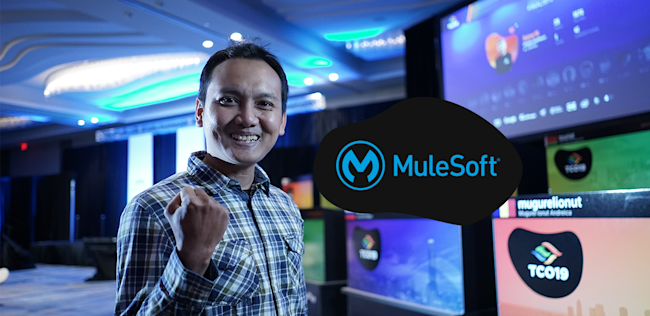 Mulesoft Banner Blog
