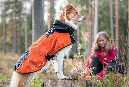 A dog with a red and black Icepeak Pet dog coat