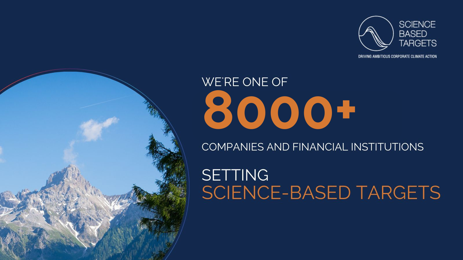 company asset social card