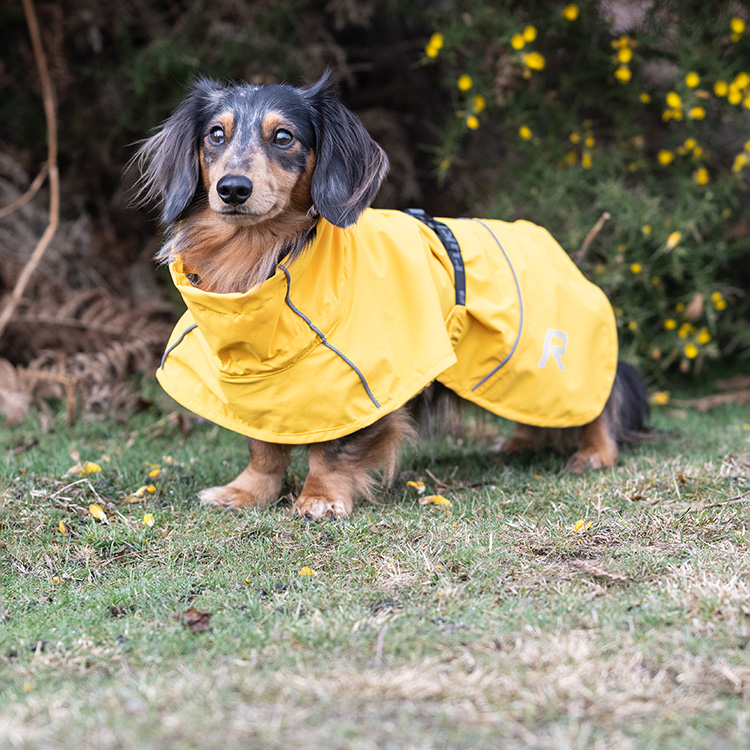 Rukka Pets® - ルッカペット日本公式ウェブサイト | Luhta.com