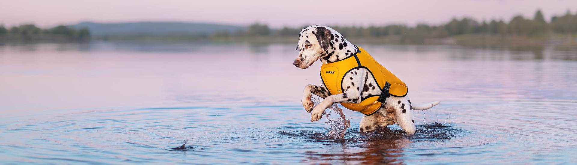 Rukka Pets® - ルッカペット日本公式ウェブサイト | Luhta.com