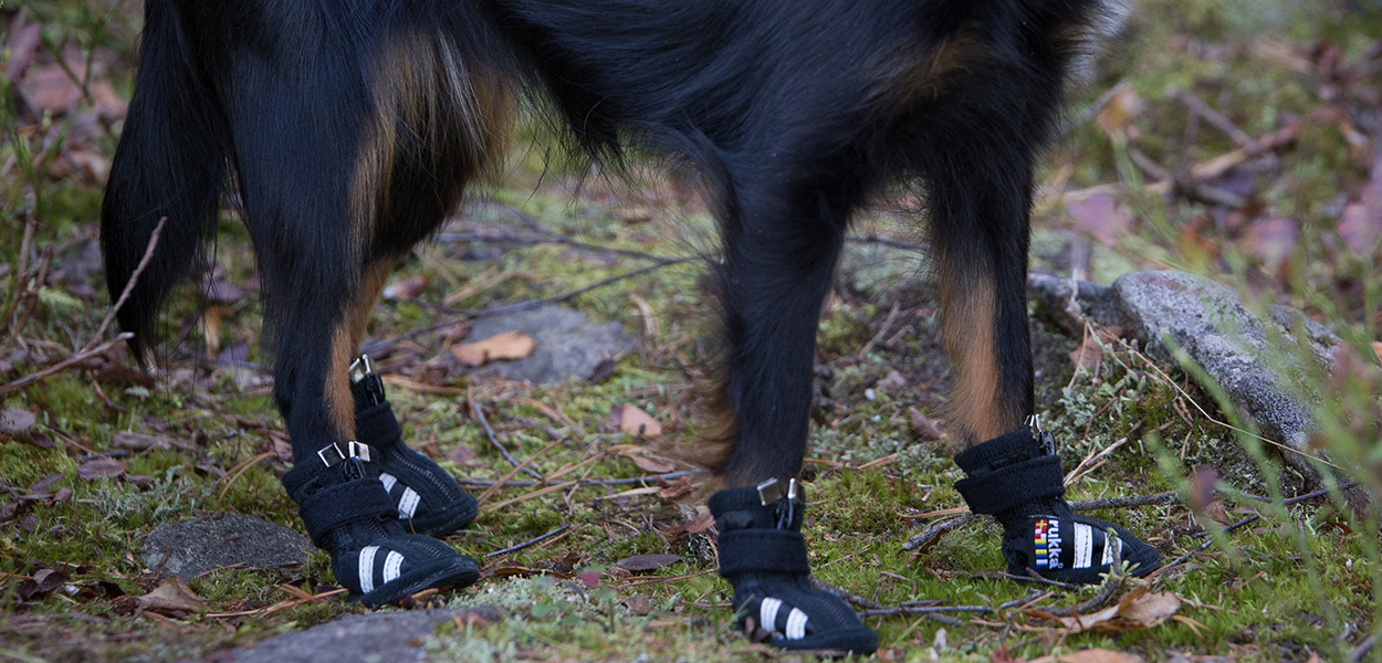 Shops rukka dog boots