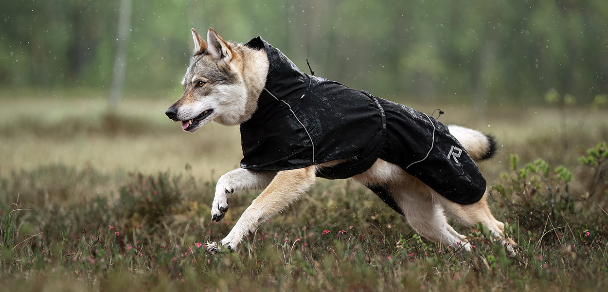 About us – Rukka Pets® | Luhta.com